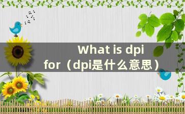 What is dpi for（dpi是什么意思）